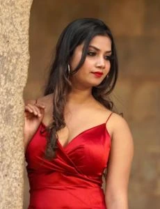 call girl service in Shajapur